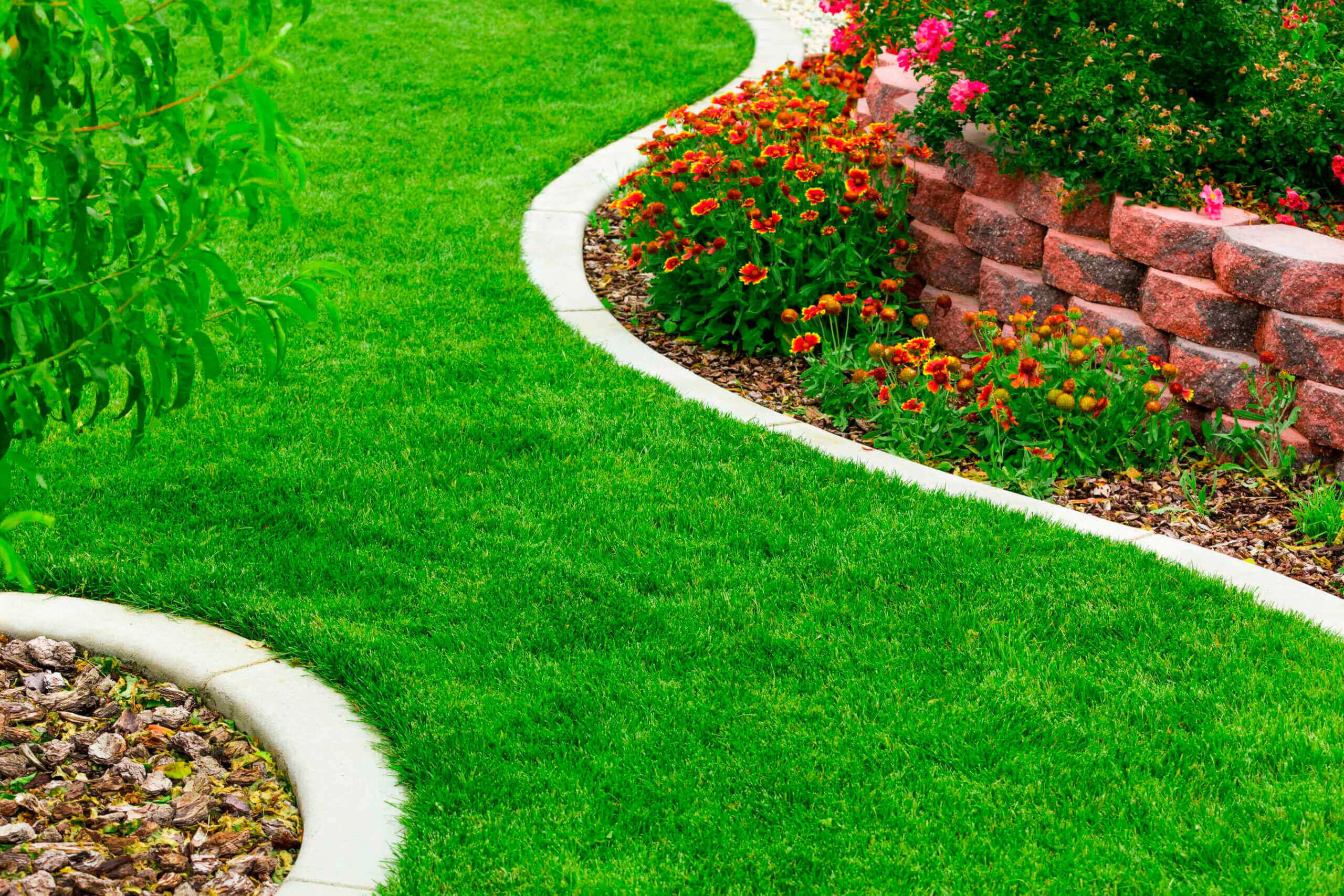 How to Choose the Right Plants for Your Landscape Design