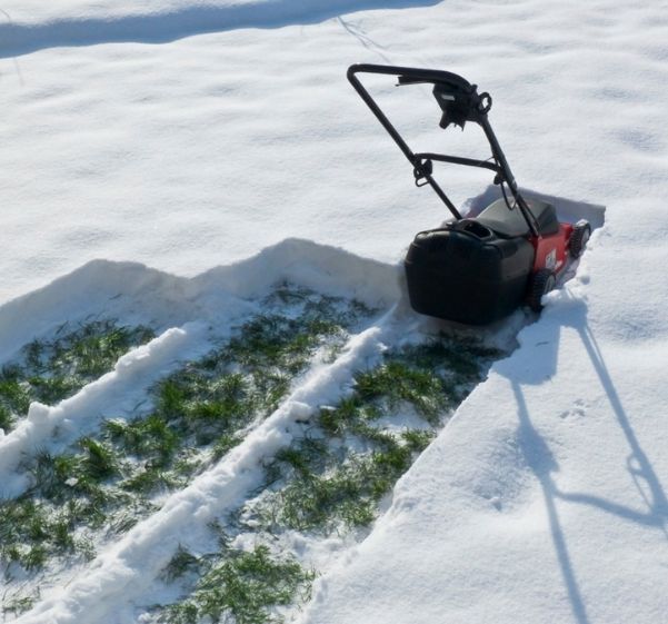 lawn snow removal