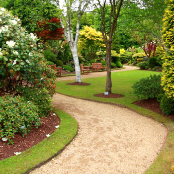 Landscaping-Aspin-Hill