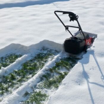 lawn snow removal