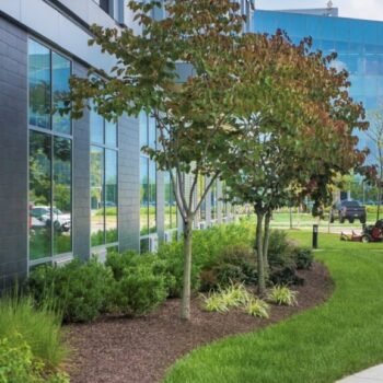 486354141_9809675609045170_889114516663864035_n-1024x577 486354141_9809675609045170_889114516663864035_n-1024x577