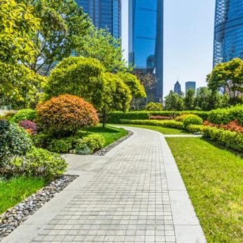 Commercial-landscape-design Commercial-landscape-design
